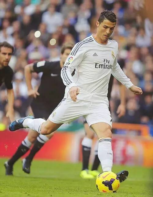 可忽视的作 可忽视的作