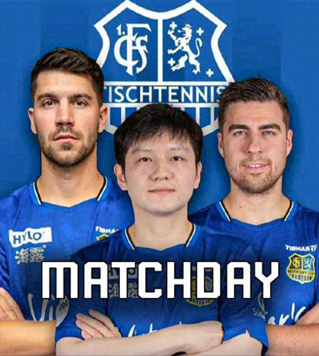 不仅彰显了 不仅彰显了